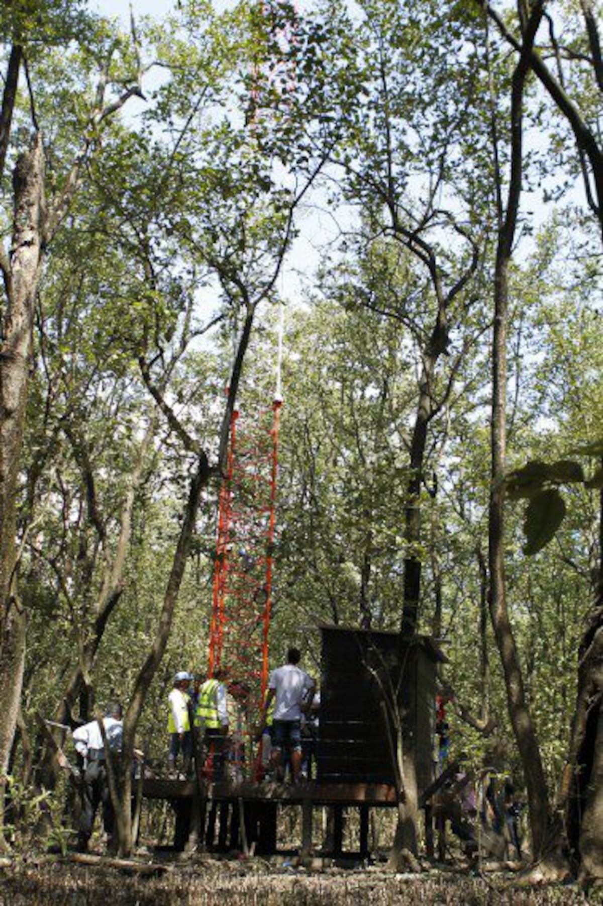 Carmenza Spadafora y Natalie Tejedor: científicas panameñas reconocidas por 3M