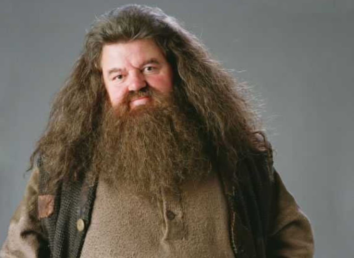 Adiós Hagrid. Fallece recordado actor de las películas de Harry Potter