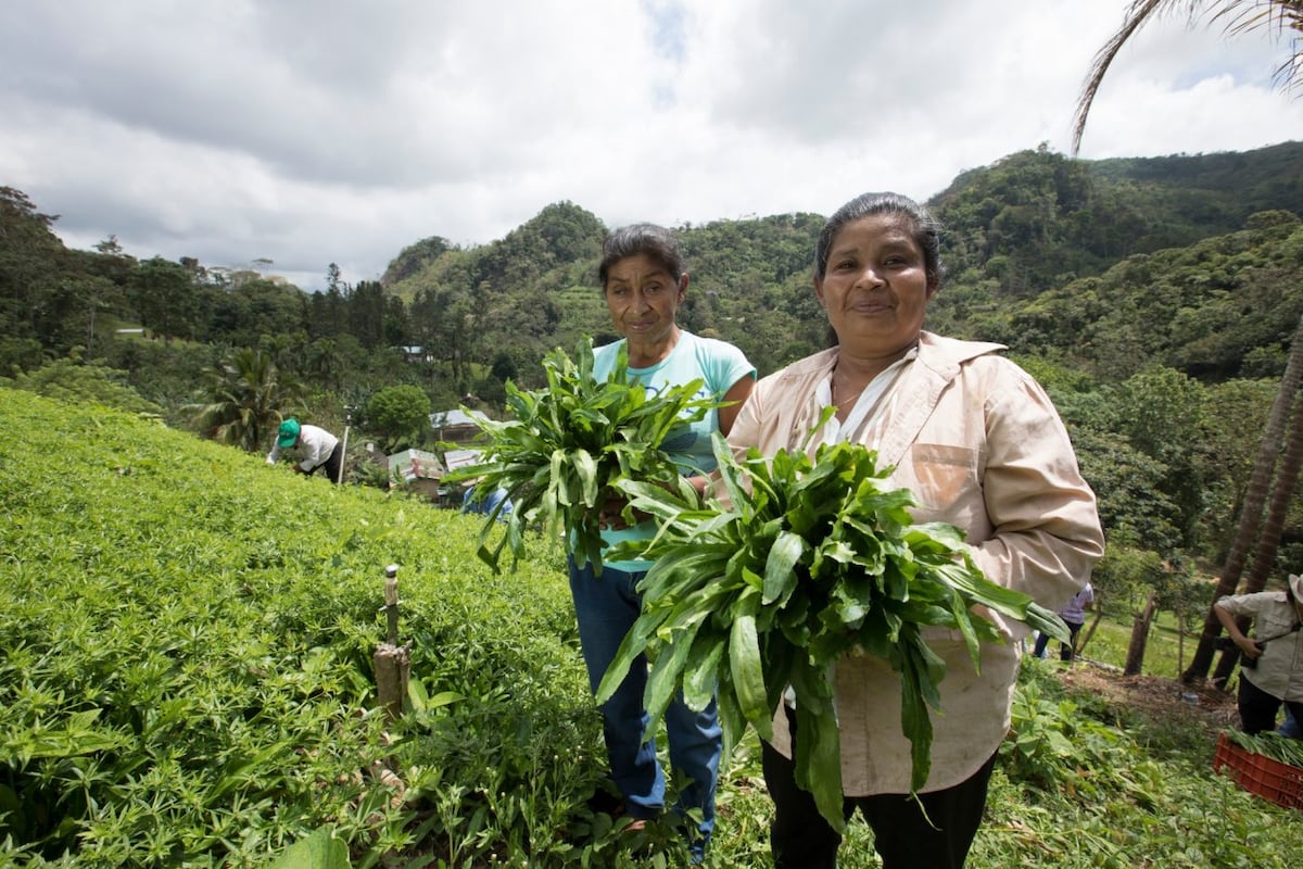 Segunda y Saturnina, sembradoras en la cuenca del Canal de Panamá