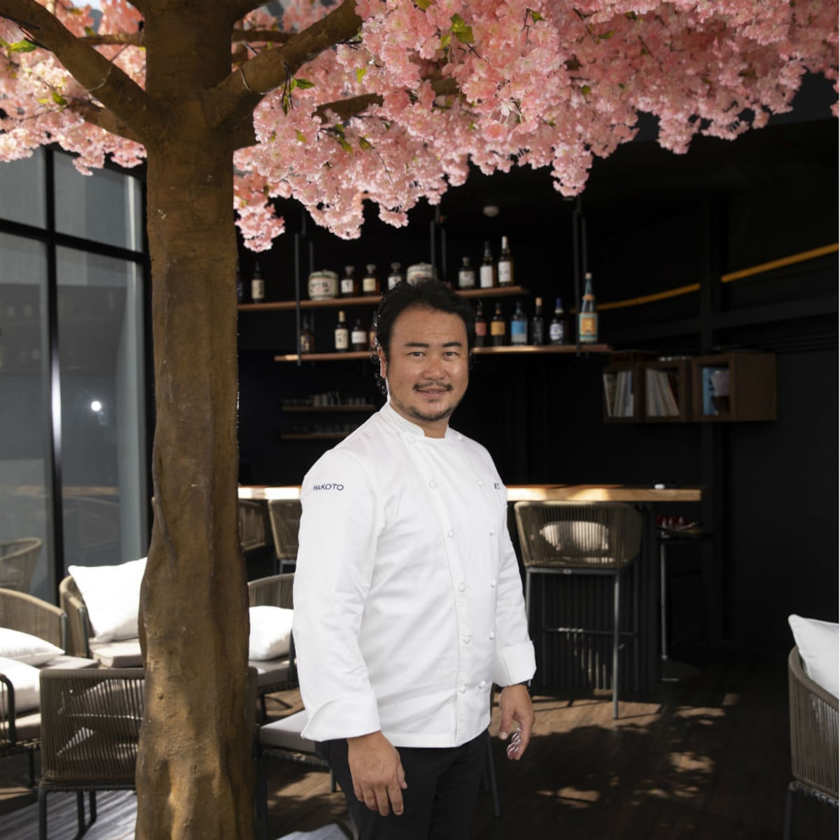 Bajo el cerezo del chef Makoto Okuwa en Panamá