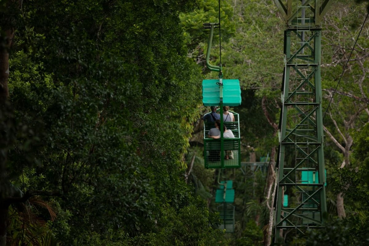 Gamboa desde el aire, recorriendo el bosque en teleférico y líneas de canopy