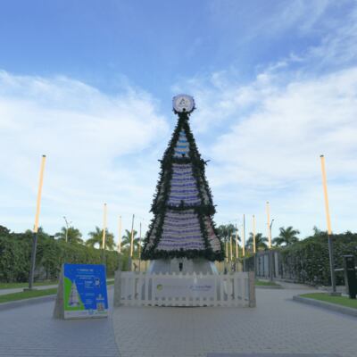 Árbol con envases de Tetra Pak ilumina la Navidad