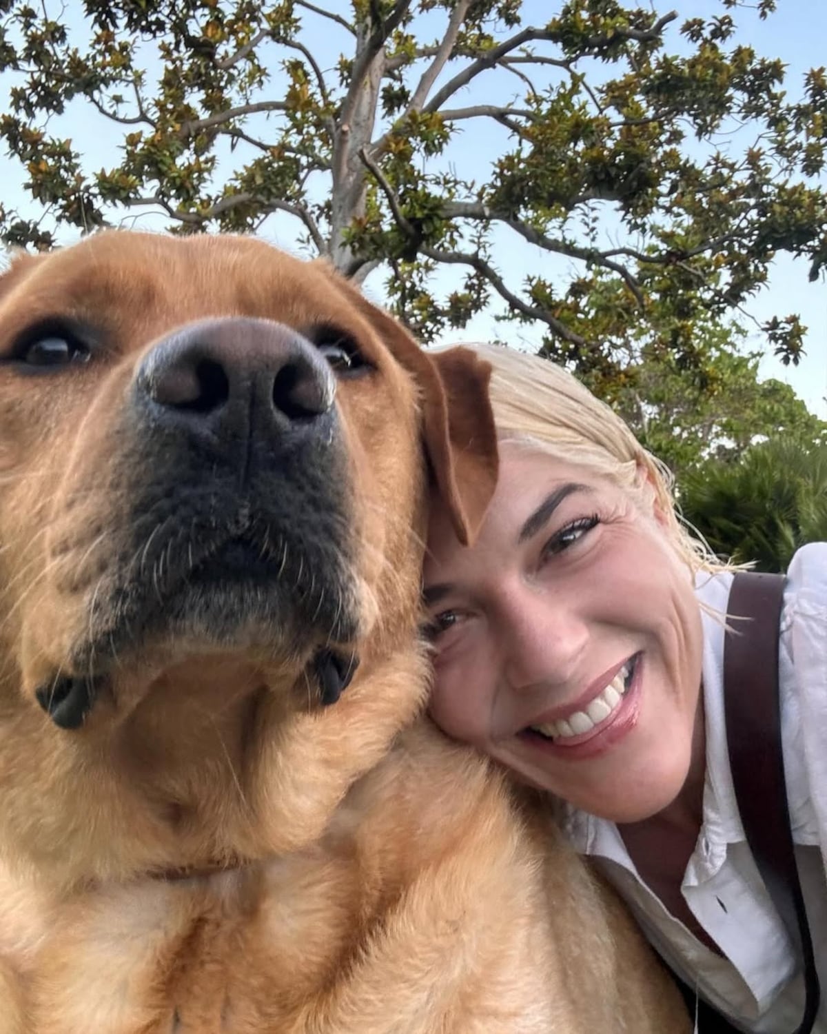 Scout, el perro de asistencia que acompañó a Selma Blair en el ‘after party’ de los Óscar