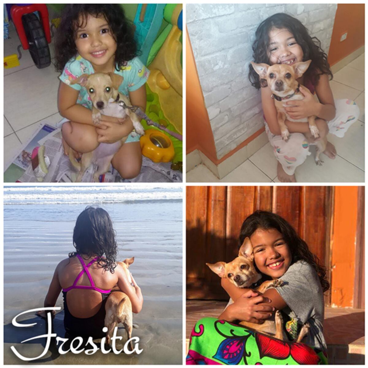 #DíaMundialdelPerro: ‘Fresita le ha dado tranquilidad y compañía a mi hija’