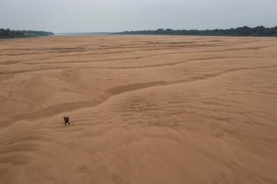 El papel familiar en las tragedias y el clima, premio del World Press Photo regional