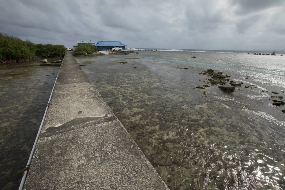 Ciencia frente al mar