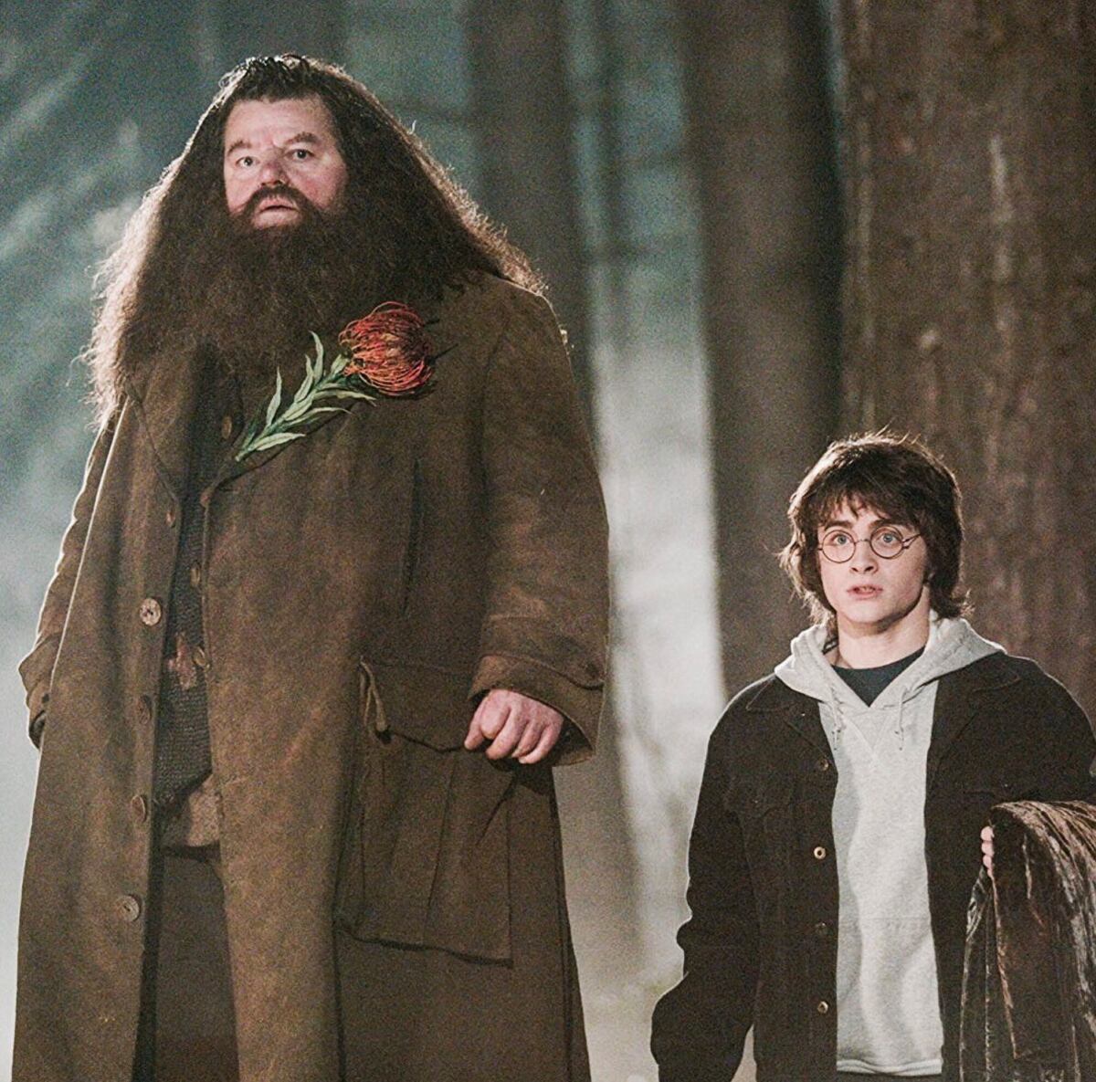 Adiós Hagrid. Fallece recordado actor de las películas de Harry Potter