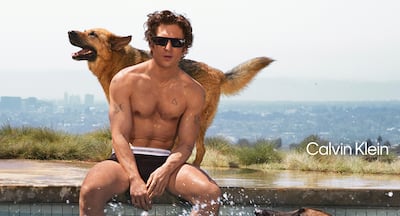 Jeremy Allen White y Calvin Klein lo vuelven a hacer: 8 fotos de la nueva y sexi campaña 