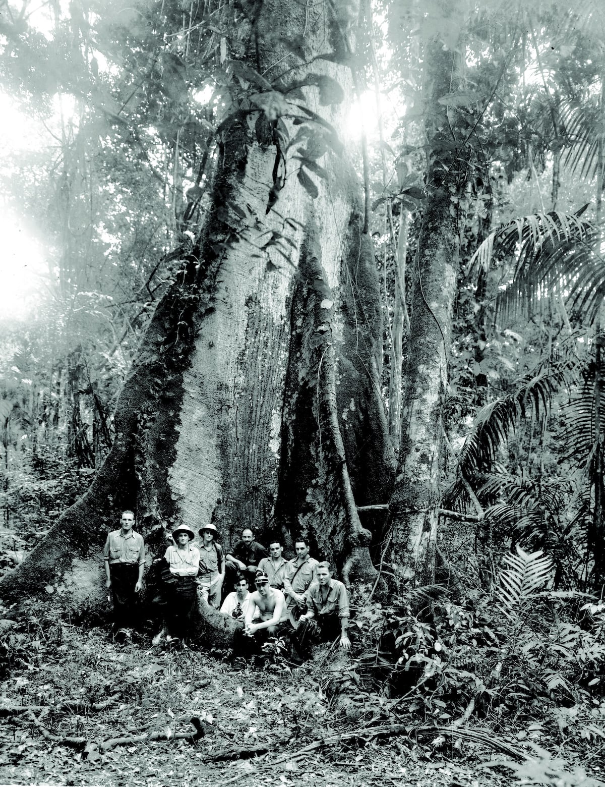 Fotos de más de 100 años tomadas en Isla Barro Colorado