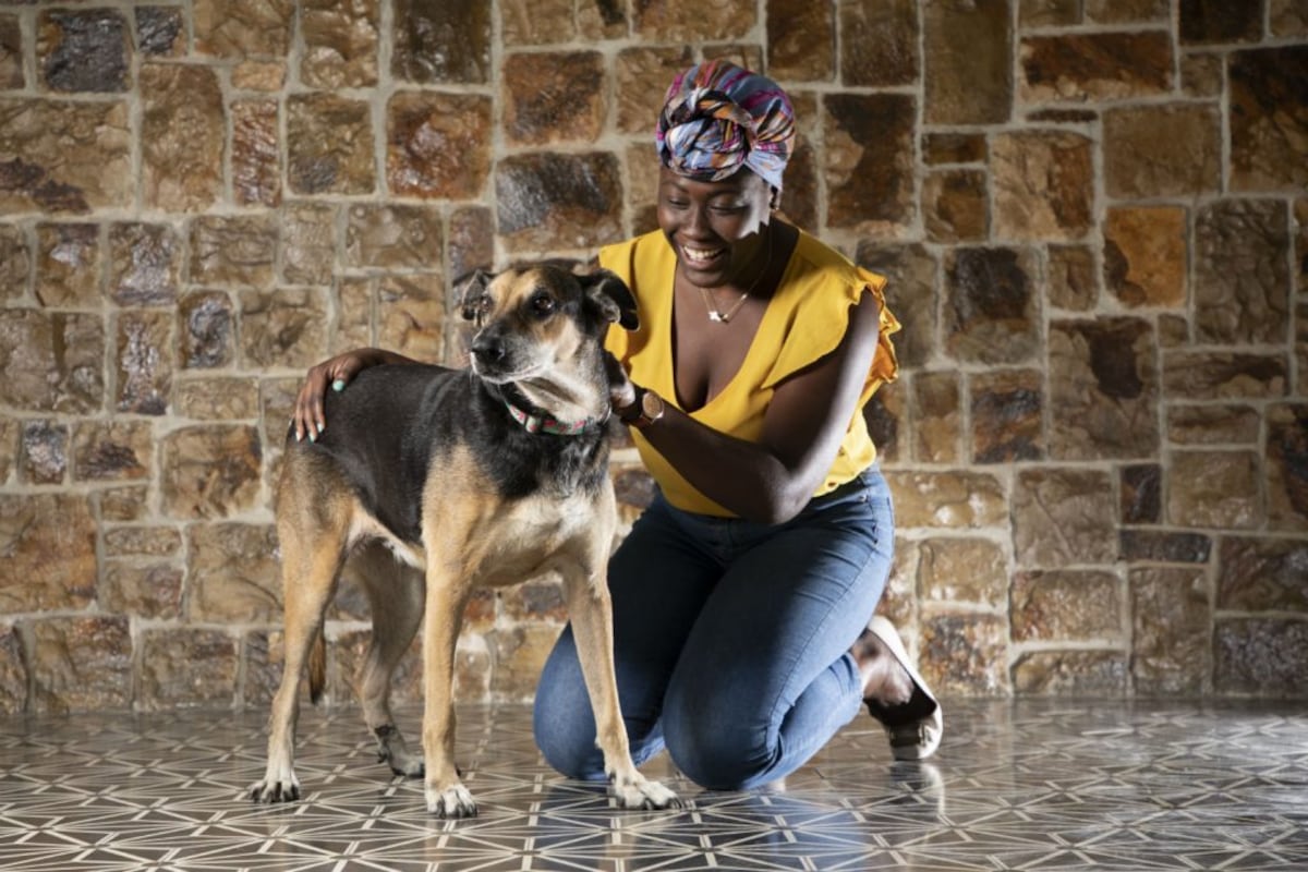 Paty, la perrita criolla que va los viernes a la oficina