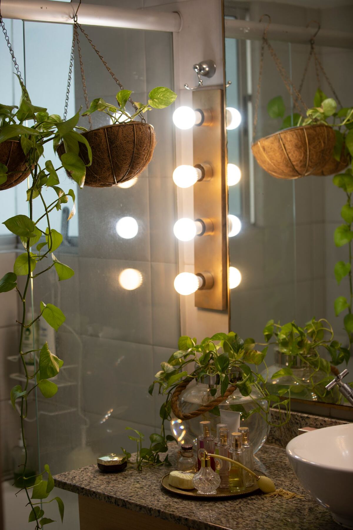 ¿Y qué tal plantitas en el baño?