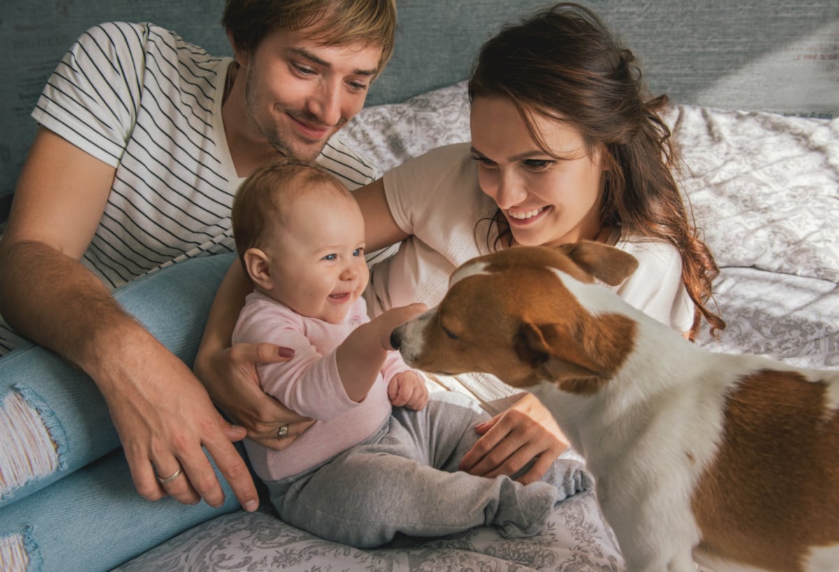 Perros y padres primerizos