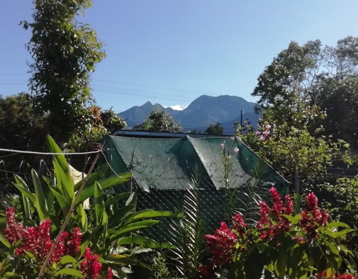 Residente en Tierras Altas, Chiriquí: ‘Hay mucho dolor y angustia’