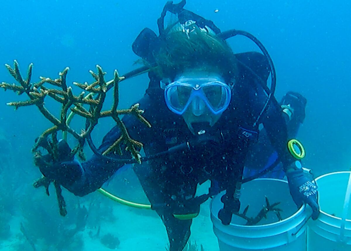 Asfixiando la biodiversidad