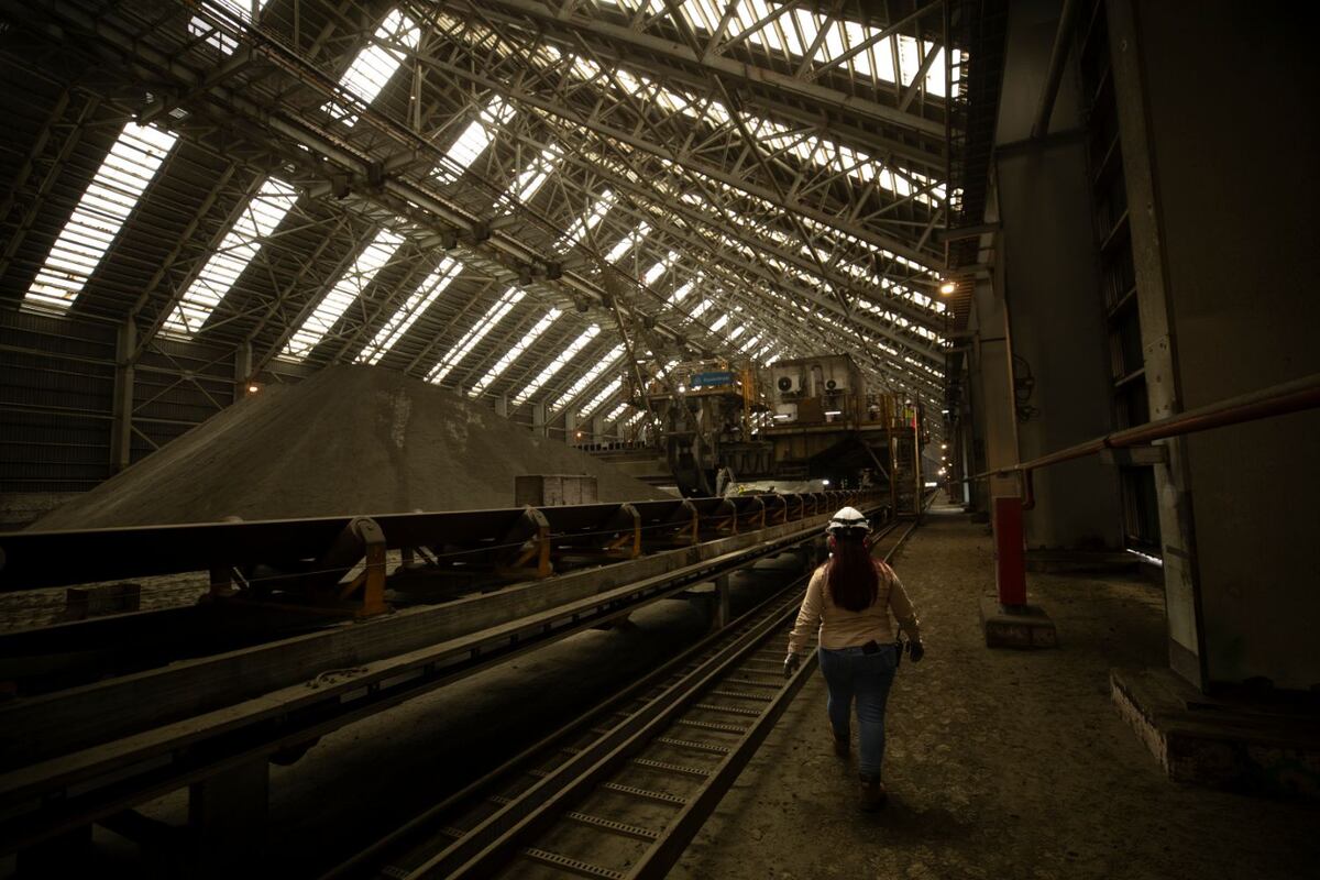 Domitila Arcia y el sí a las mujeres en la minería