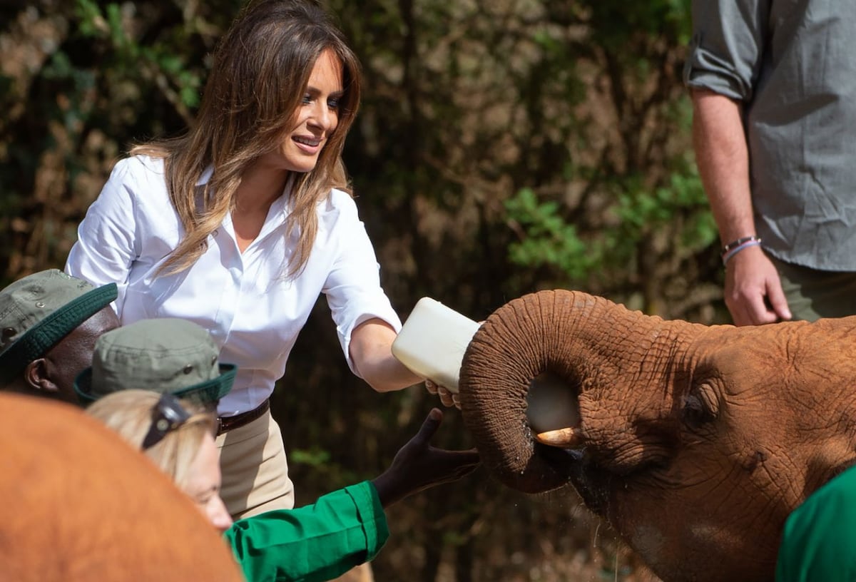 Melania Trump da el biberón a elefantes y va de safari