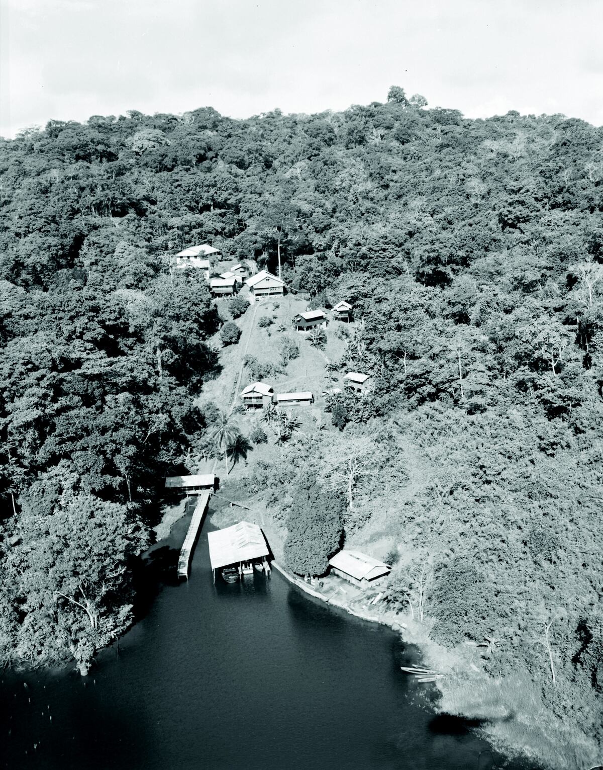 Fotos de más de 100 años tomadas en Isla Barro Colorado