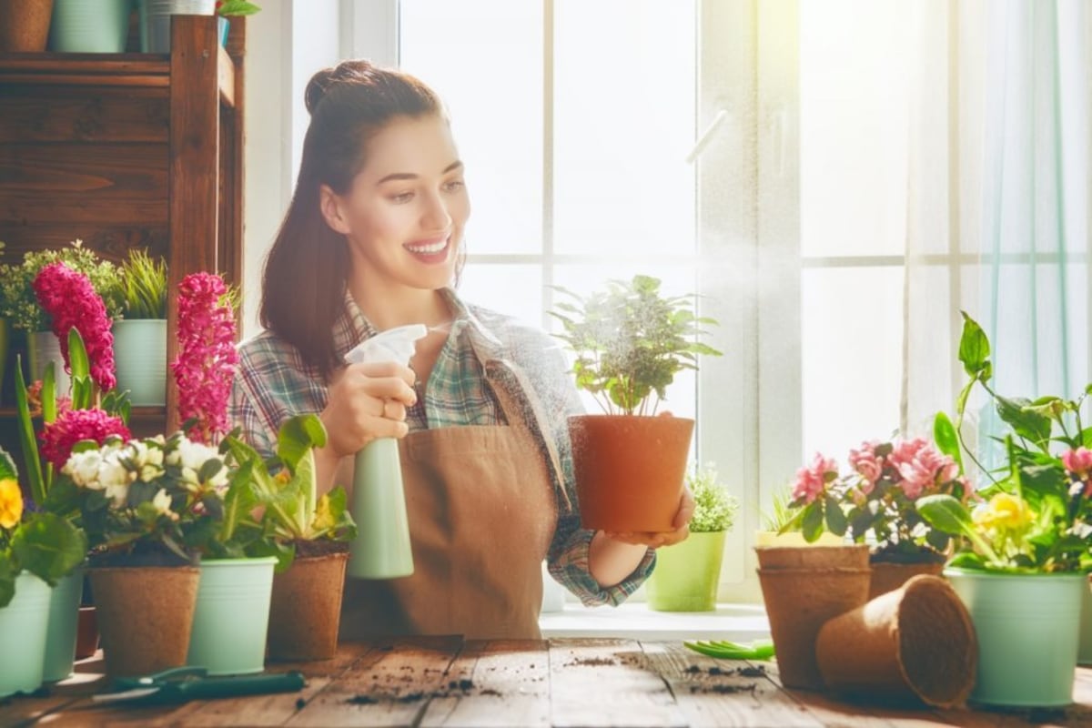 Rocíar, abonar y otros mimos para tus plantas en cuarentena