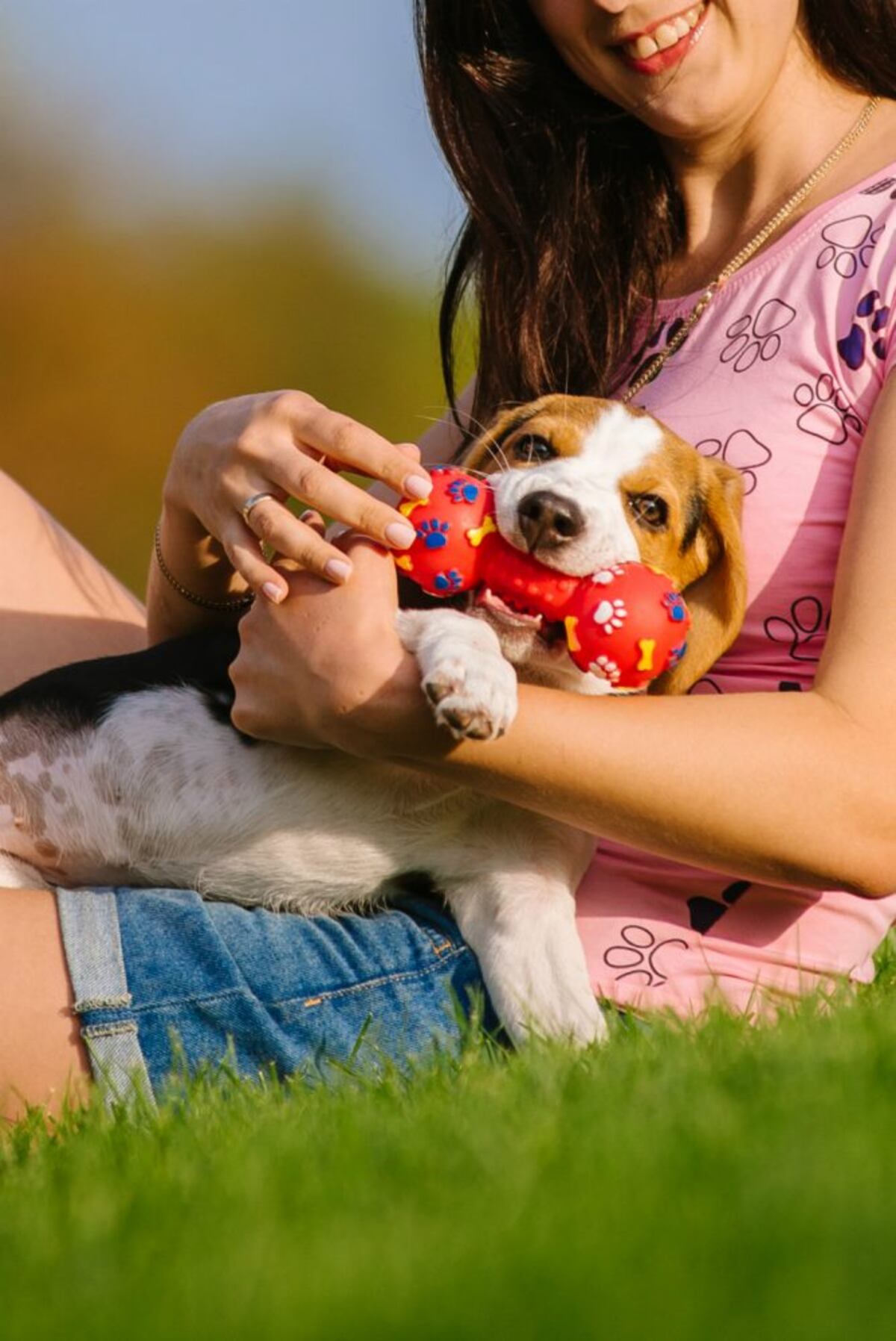 El preescolar canino