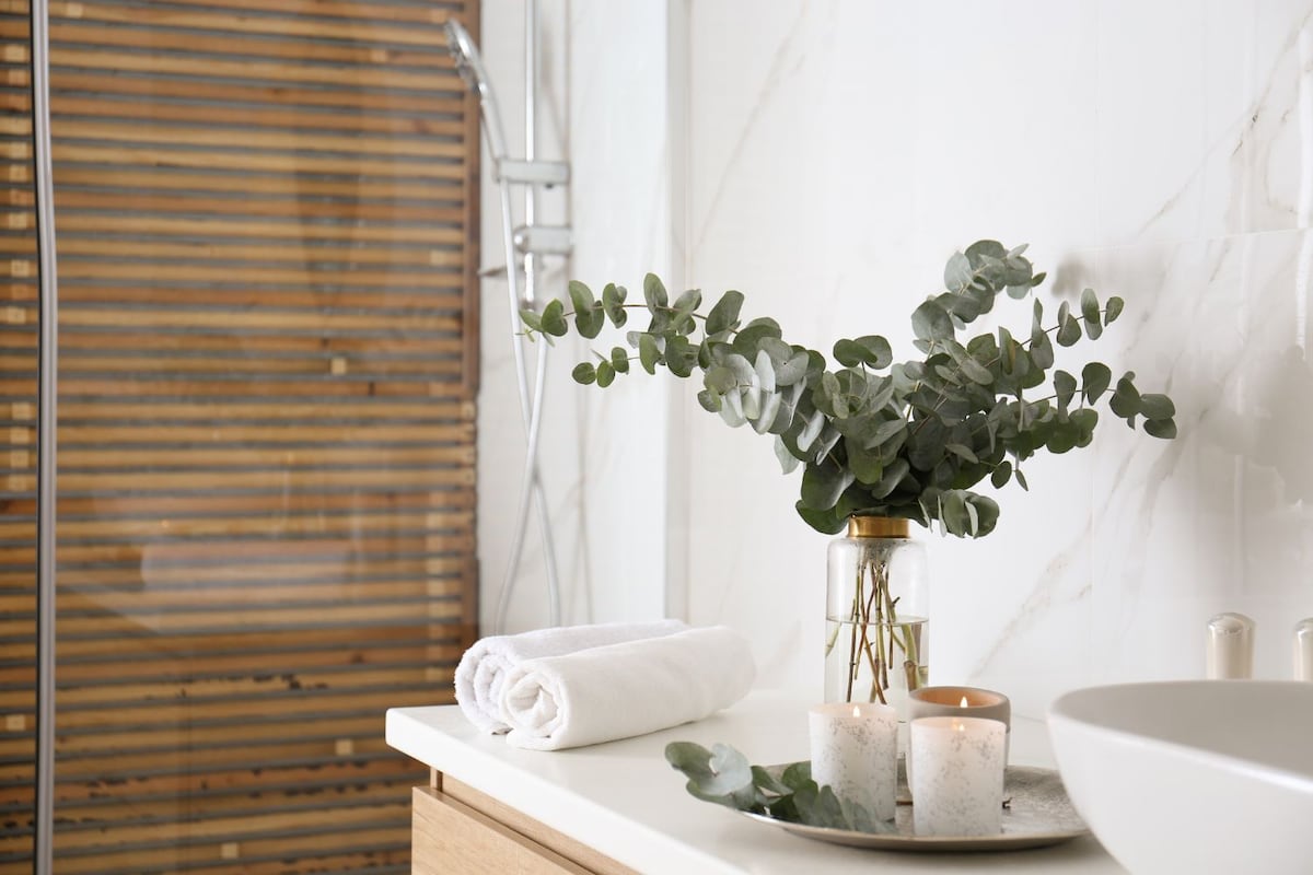 ¿Y qué tal plantitas en el baño?