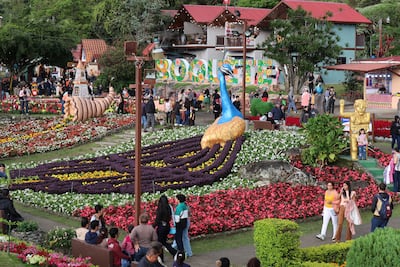 Miles de flores y el café más caro del mundo engalanan Boquete, el poblado en las montañas de Panamá