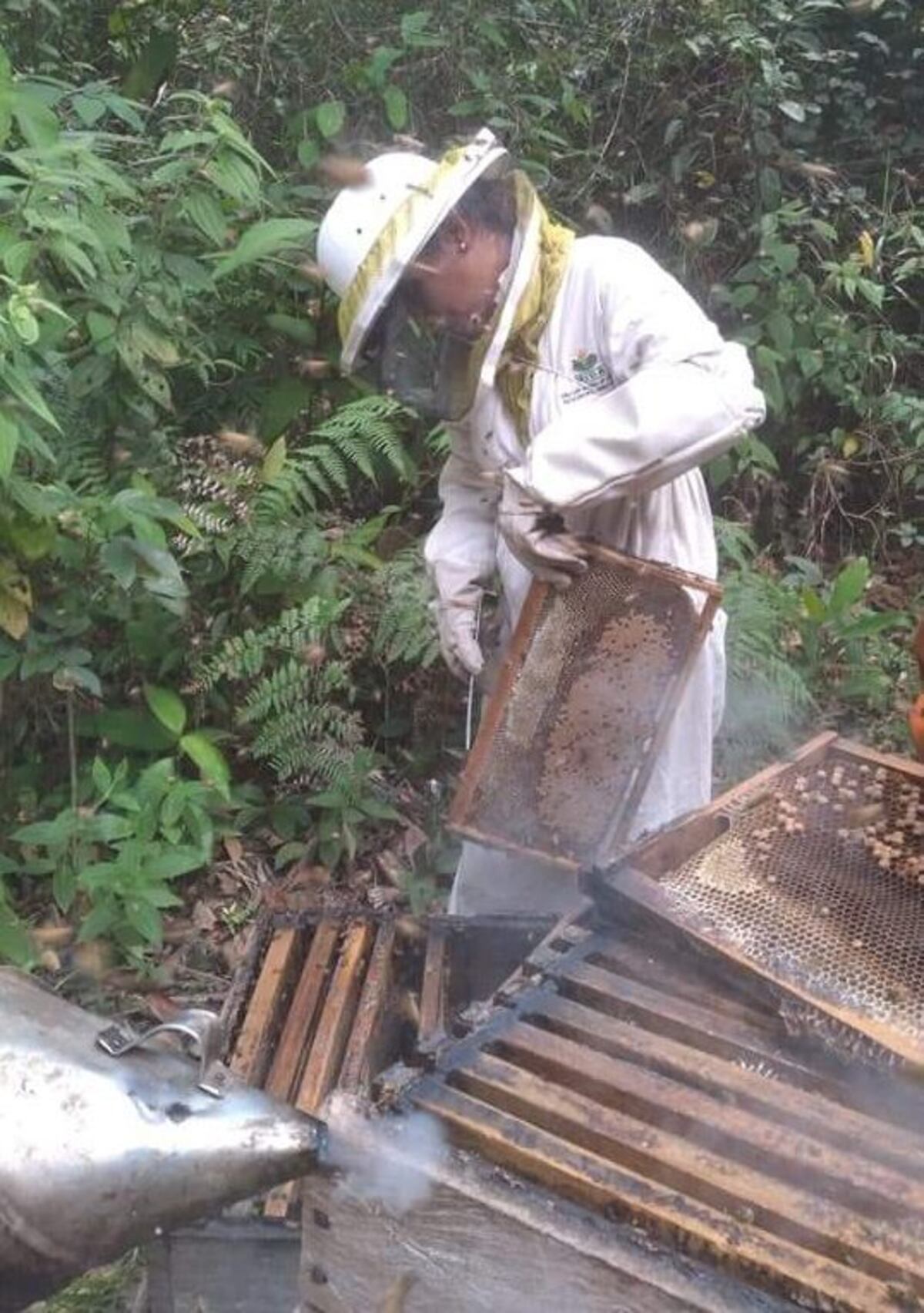 ‘Mi uniforme representa…’: Romper esquemas, equipo de protección apicultura