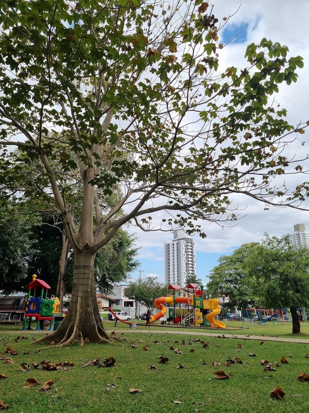 Seis lugares para hacer pícnic en Panamá