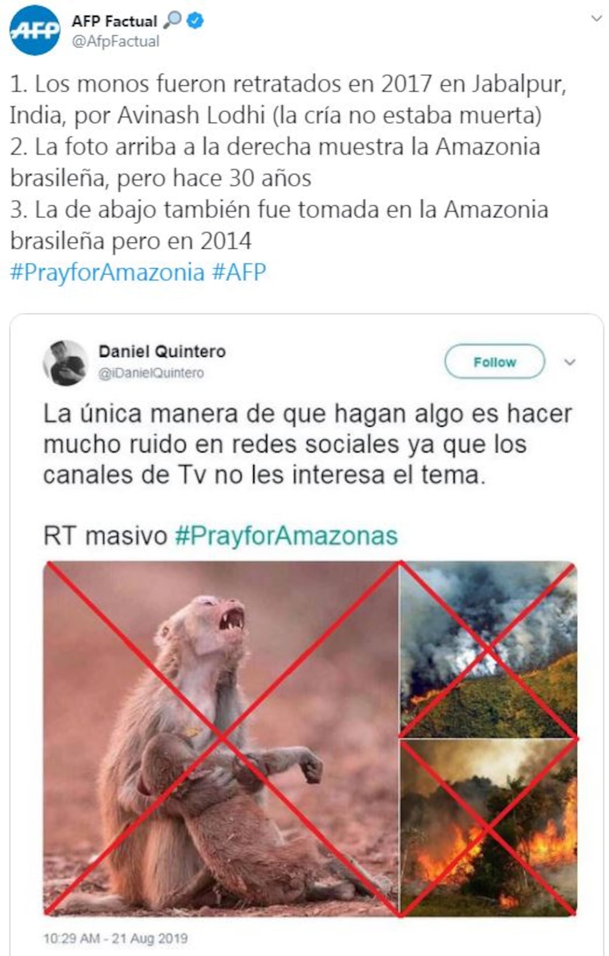 Las imágenes ‘engañosas’ del incendio de Amazonas