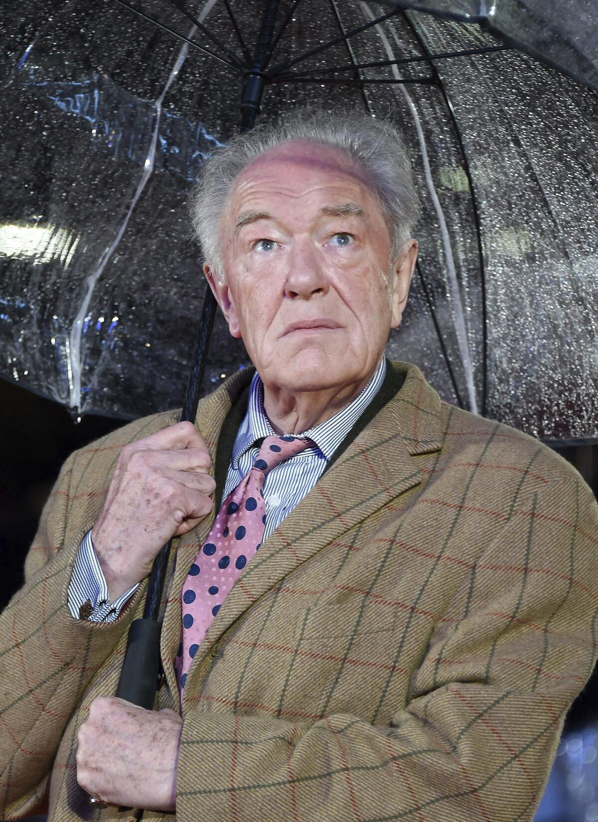 Muere a los 82 años Michael Gambon, el Dumbledore de Harry Potter