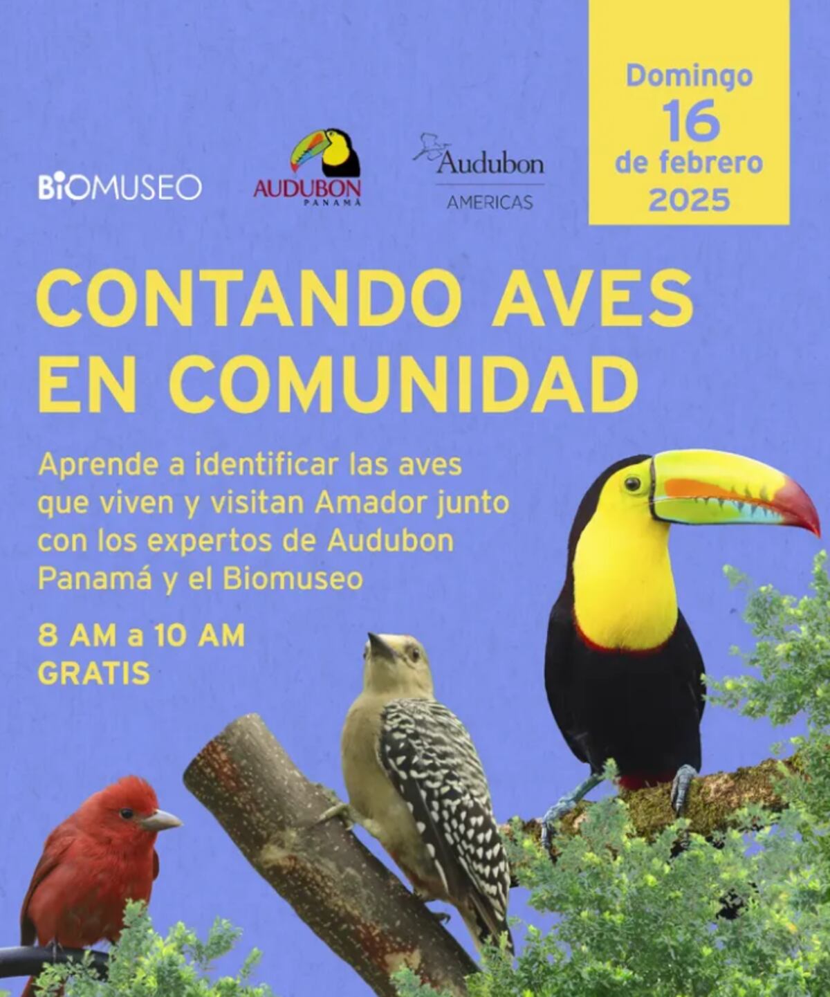 Cuatro actividades para disfrutar este fin de semana en Panamá