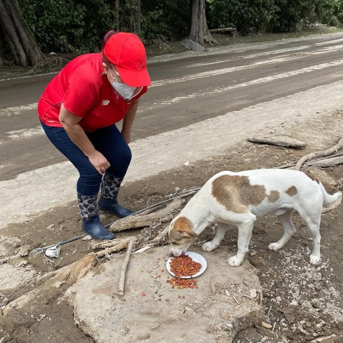 Por los animalitos en Bambito y Soloy, afectados por el huracán Eta