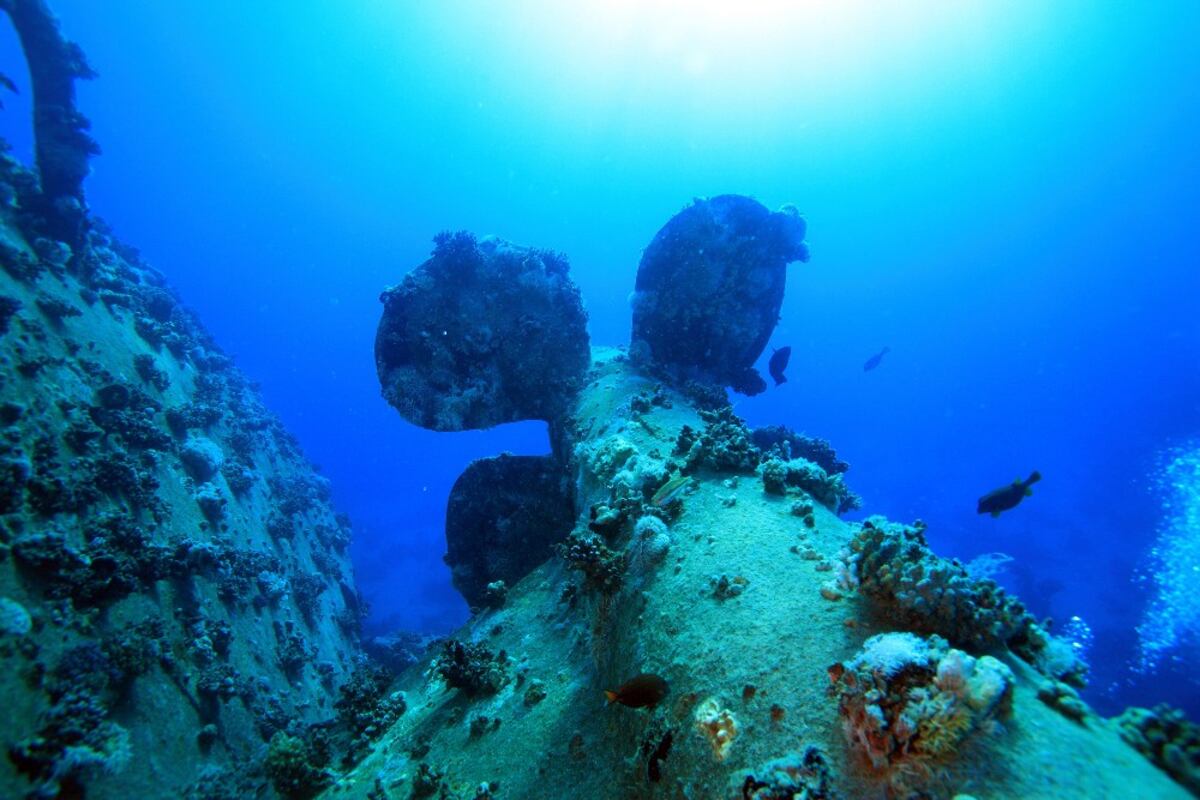 Las bacterias, las nuevas protagonistas del Titanic