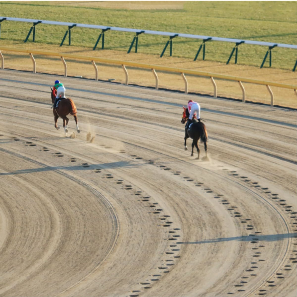 Si yo corriera… estaría en el hipódromo